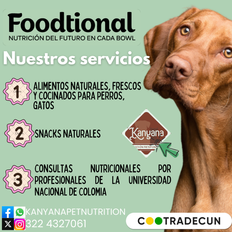 Publicidad Kanayan Coontradecun INST